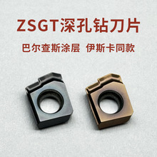 ˹ͬ荵ƬZSGT060204-DT Ͻͬ^䓼ͨ