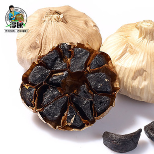 �S�ҬF؛���l�������������ڰl�͇����|�z���նYƷԭζ��Ƥ����