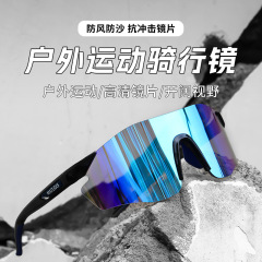 成人墨镜自行车炫彩变色眼镜公路车防风眼镜山地车骑行护目镜安全