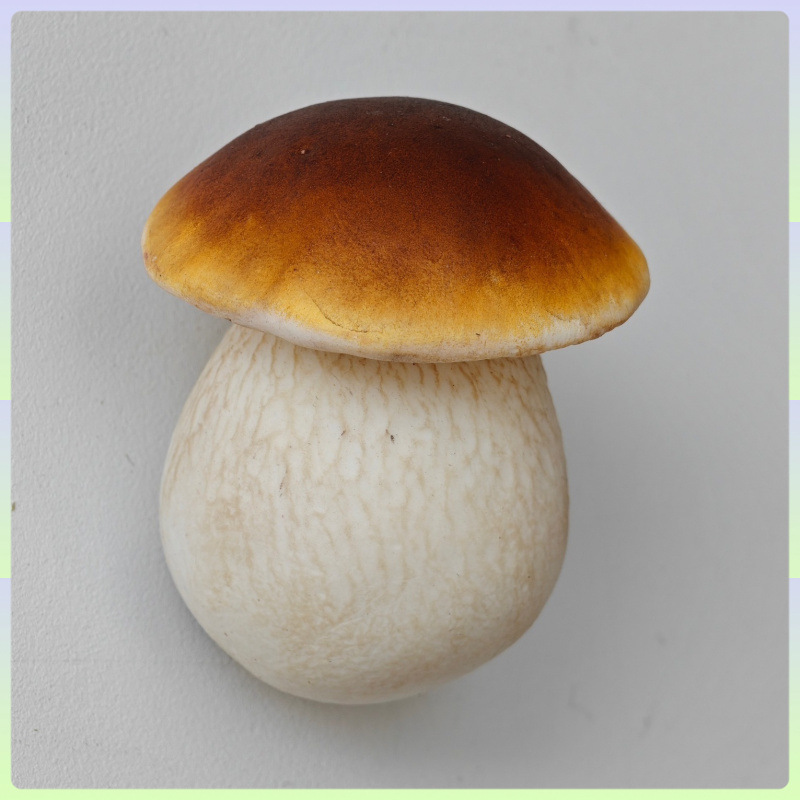 云南野生菌冰箱贴 手工制作 磁铁冰箱贴 蘑菇冰箱贴 冰箱贴磁吸式|undefined