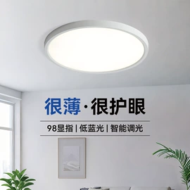 吸顶灯;吊灯;LED灯带