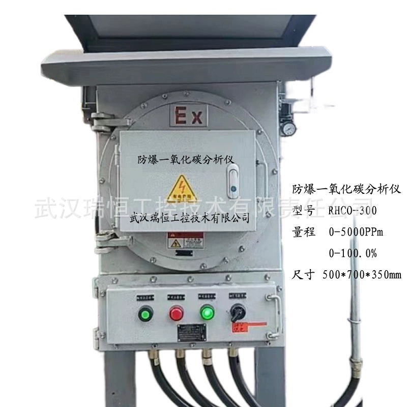 RHCO-300 взрывозащищенный постоянный микроанализатор угарного газа газовый газ термообработка химический CO