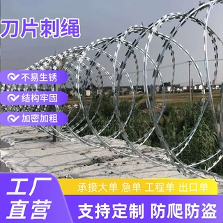 不锈钢刀片刺绳围墙看守所围墙防护网机场边境防护刀片刺网钢丝绳
