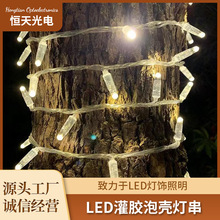 LED星星灯串/户外装饰亮化工程专用/LED灌胶泡壳防水灯串户外灯串