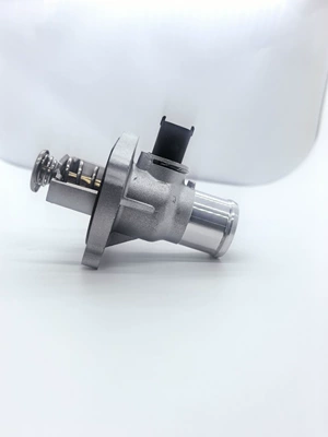 96984104 55578419 55597008 Thermostat