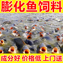 �ϸ���ͨ���~��������l�Bֳ��ˮ�~�\�����~�a�~�~��ͨ��