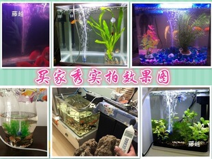 ����� �~�� ������ 370��� ��~����� ��늳�����