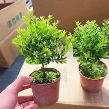 ����辰�҃ȾGֲ�������Կ͏d�k��������[�����Bֲ����S�����l