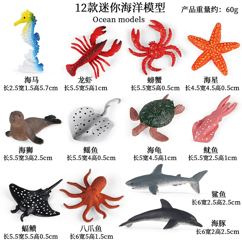 Cognitive realistic marine animal model, dinosaur, toy