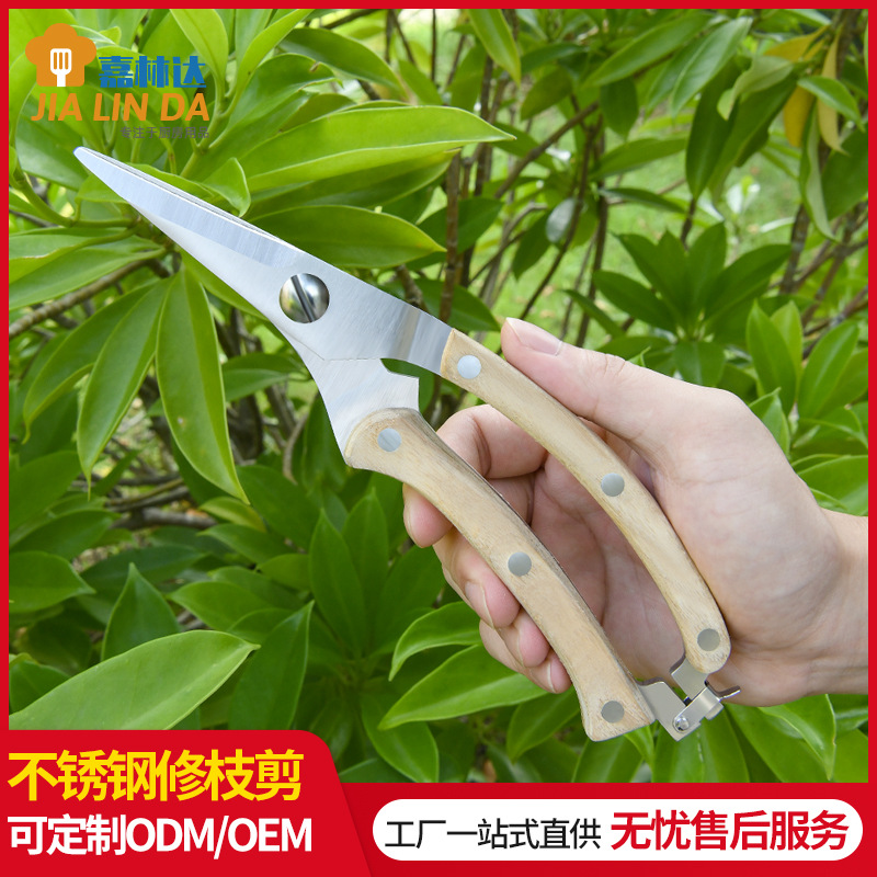 剪枝果树修枝剪刀园艺园林修花枝剪家用强力剪子神器花剪剪枝剪刀