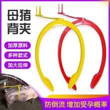 ĸ�i��ݔ���Aĸ�i��N���ھ��˹��ھ��O���i�����i֧����N�A��