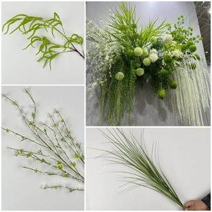 ��c�Gֲ���´��L֦��ѿ�ٻ��׾Gɭϵ��c�b����廨·��