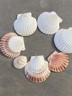 ��Ȼ��ך�ؐ�׃��@��ؐ�ֹ�DIY���L���Tɫ����ؐ�����NС��ؐ��