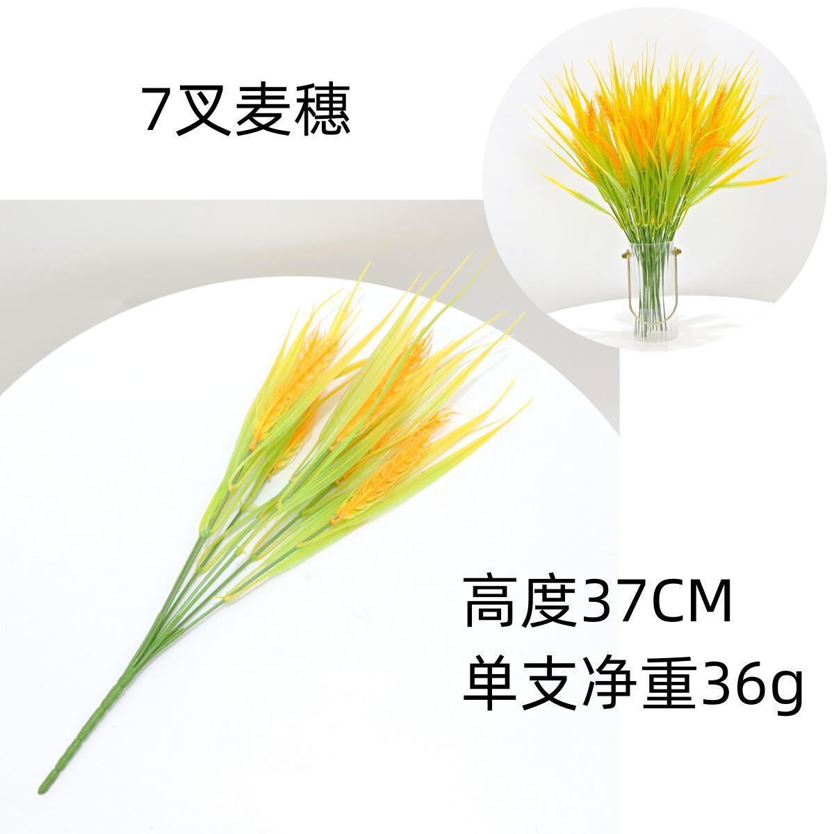 일곱 갈래의 밀 이삭