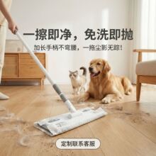 拖布除尘纸地板湿巾干巾套装平板拖把毛发一次性拖地干湿两用清洁