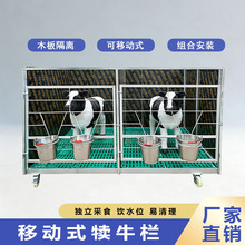 6��5λ�Ƅ�ʽ��ţ��һ��һСţ��B�\ľ����x��ֹ������ţ�\