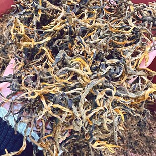 �t�����l �P�c��t�� ��ϹŘ�t�� ���Sѿ ��z��ѿë��t�� ��