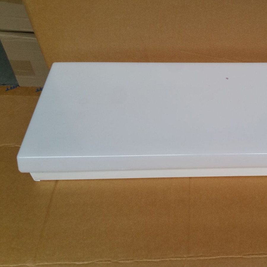 船用荧光舱顶灯ZYP20-2E