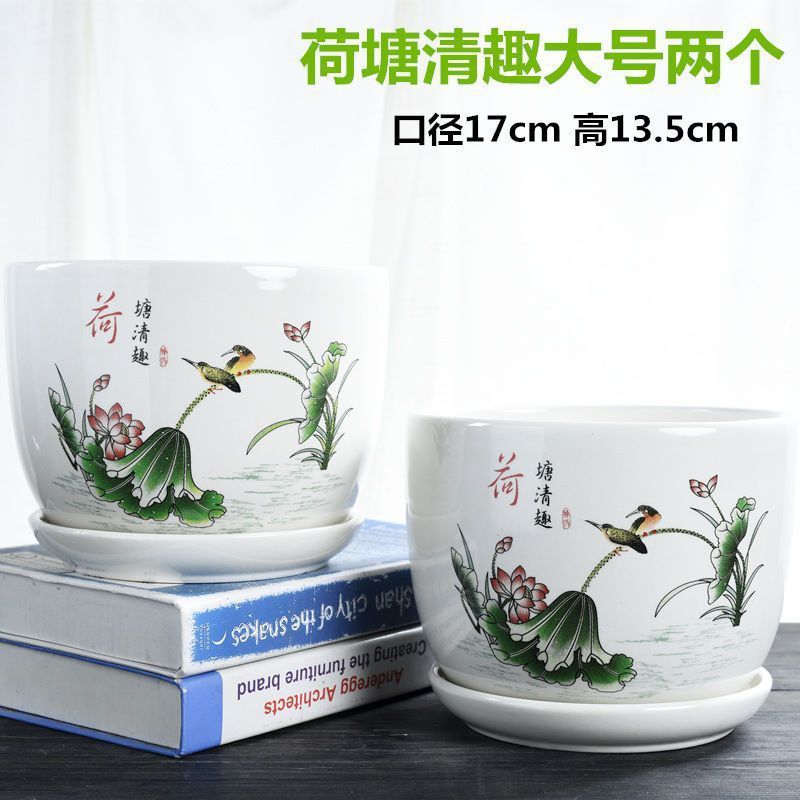 연꽃 연못의 재미있는 대형 사이즈 2개