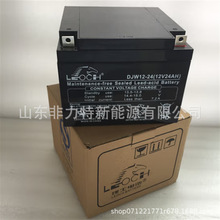 LEOCHʿ늳 DJW12-24S 12V24AH/20HR) yʽSo늳