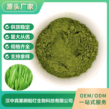 定制加工 大麦苗生粉 大麦苗粉原料 烘焙糕点烘焙原料粉 厂家供应