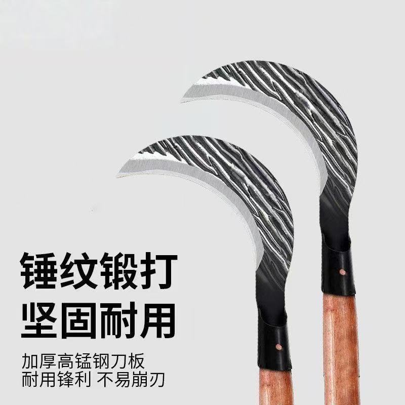 微信图片_20251226145808_555_33.jpg