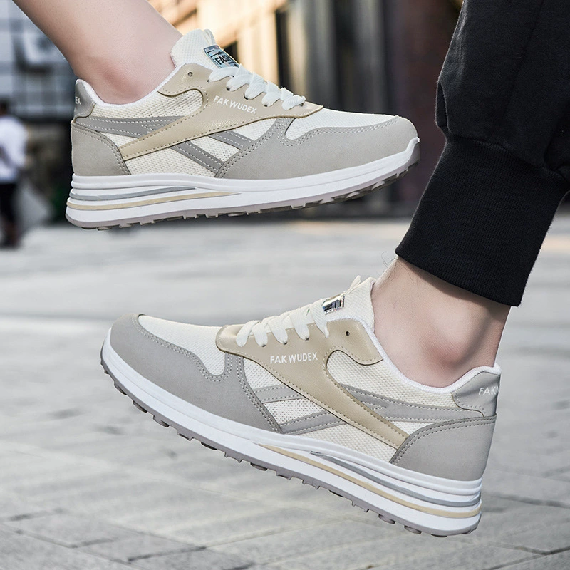 Footwear, trend fashionable universal sneakers for beloved, comfortable breathable sports shoes for leisure