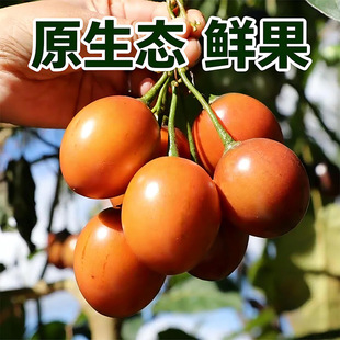 ����خa�䷬�����r�Fժ���u������ɫ�͏dˮ��ֱ�������������l