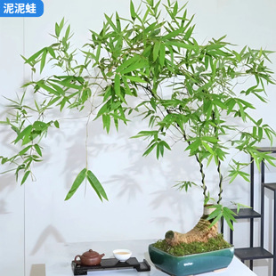 �҃�С�~�{�����Ժ{���Ϙ�С�~�{����҃���䘶�辰���^�Gֲ���B