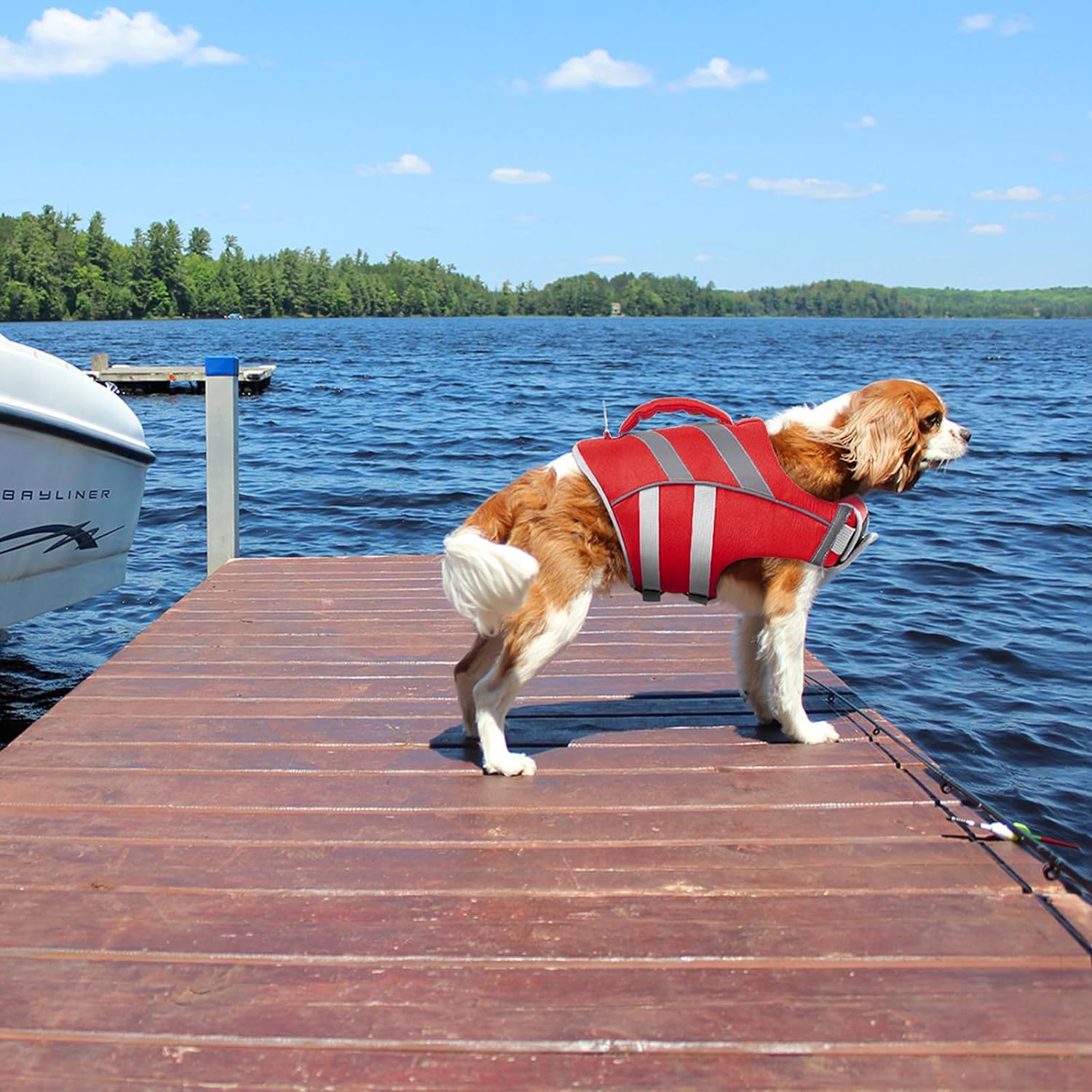 Dog Life Jacket