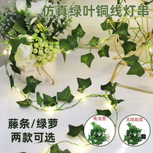 �羳�¿��ٗl���� LED�G�~����ɽ�������~�������}�Q���շՇ���