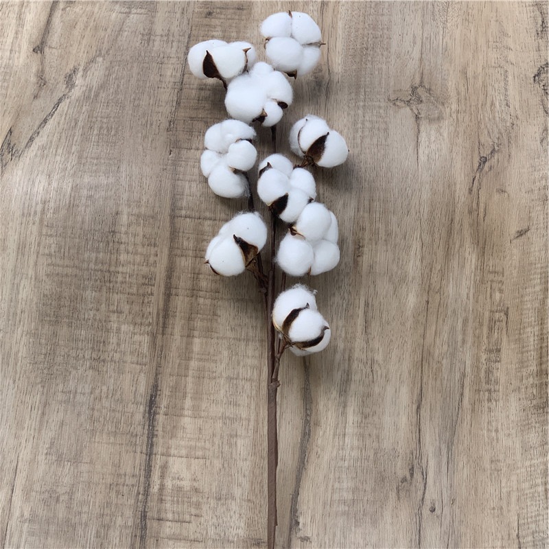 22002181136_735663982