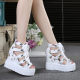 Fishmouth Sandals Women's Hollow Inner Height Breathable Mesh Shoes Platform Thick Bottom Wedge Heel High Heel 11cm Roman Student Sandals