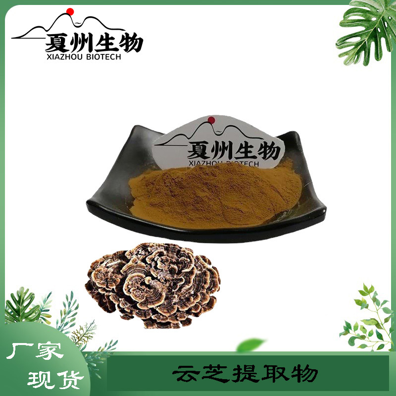 云芝提取物10/20/30/50:1 云芝多糖50%  云芝提取物夏州生物 现货