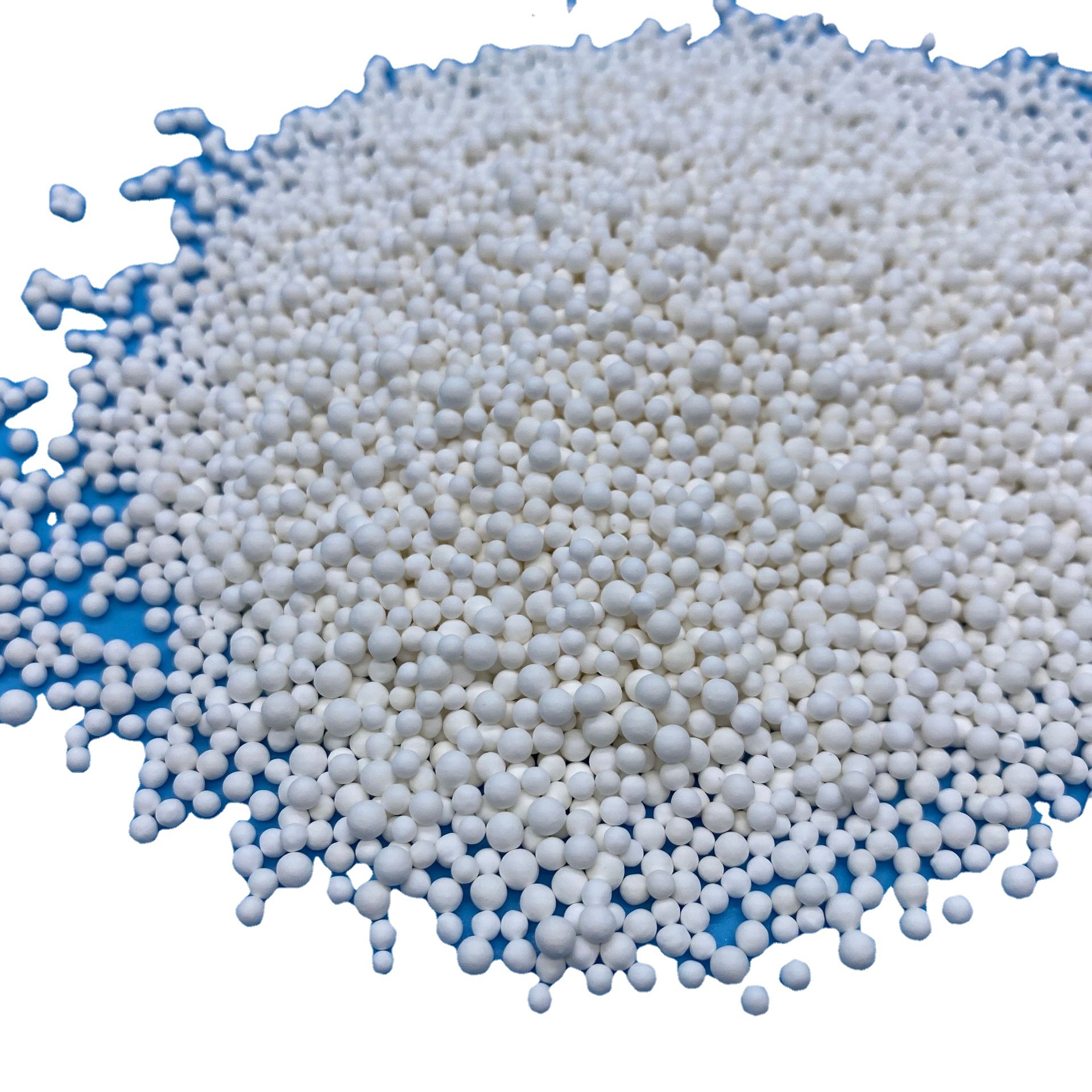 ��������������������� ������������������� ���ʳ�����������