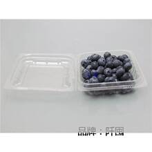 125�{ݮ���ܰ��b �{ݮ ɣ� ���� ܇����������ϰ��b���