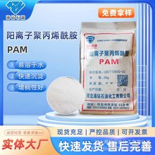 阳离子聚丙烯酰胺PAM厂家阳离子工业污水处理絮凝剂沉淀乳液pam