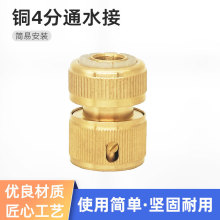 家用水管接头铜4分通水接4分软水管奶嘴型水枪1/2快速接头