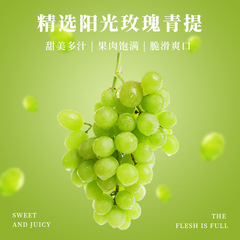 青提汁濃縮商用青提果醬葡萄濃漿果汁原漿奶茶店專用雨後陽光玫瑰