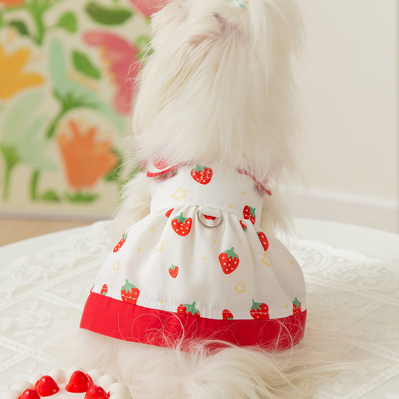 Spring and Summer Little Dog Strawberry Full Print Lapel Dress Cat Two-Leg Princess Style Traction Teddy Pet Dress
