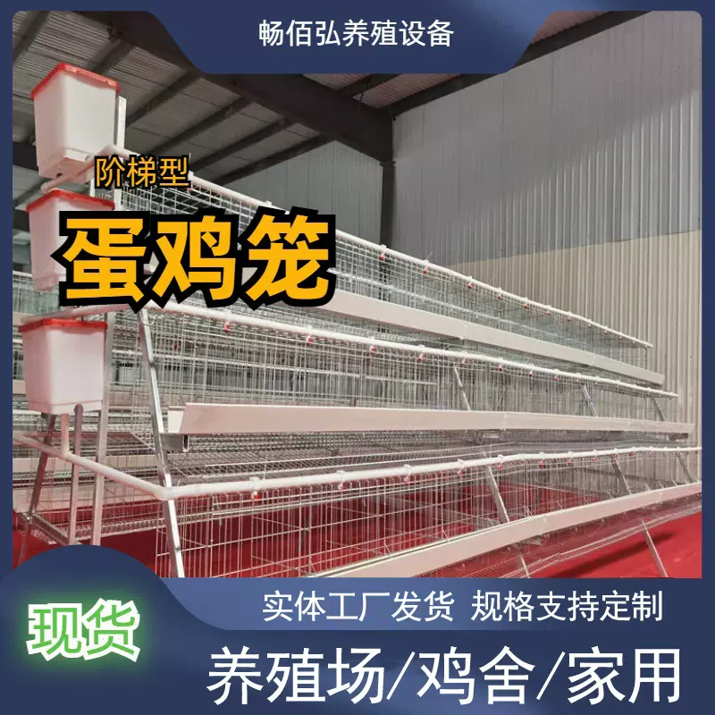 蛋鸡笼pvc阶梯式镀锌丝蛋鸡笼子设备三层四层简易养殖场食槽