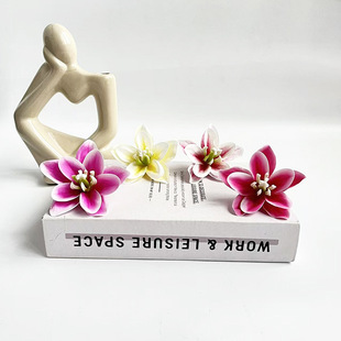 �¿�ζ�������m���ƻ�ӆ����米���廨����DIY�@ˇ�ֹ��ٻ���