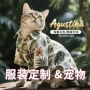 透气定制猫猫薄款衬衫