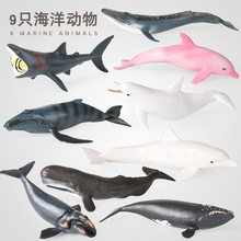 ���挍�ĺ�������ģ��������^�L�{�LĨ���L����������������A�\