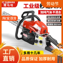 �M�����R������������ě_����䏷�ľ������䏼��ÿ���C���