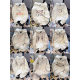 Guangzhou Thirteen Lines Spring and Autumn New fleece-lined Thickened Sweatshirt Korean Loose Casual Jacket Women's Wholesale Supply