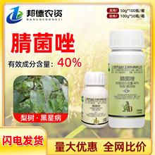 �������� 40%������������������ǲ�����ֲ���rș������