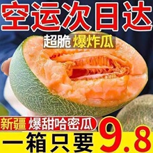 �����½����ܹ�������̖�������W�y������rˮ�������������