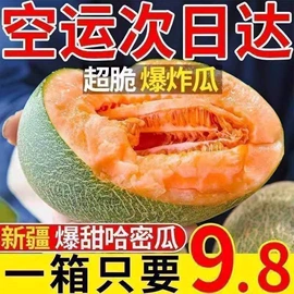 西式糕点;饼干;膨化