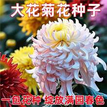 󻨾ջNͺ̓＾÷NGֲG̨ͥԺrN